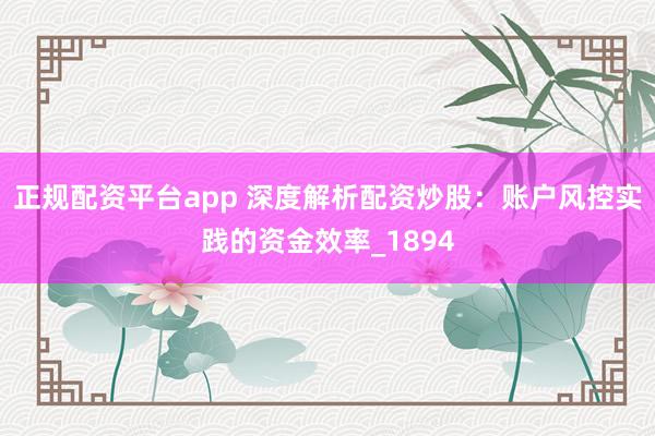正规配资平台app 深度解析配资炒股：账户风控实践的资金效率_1894