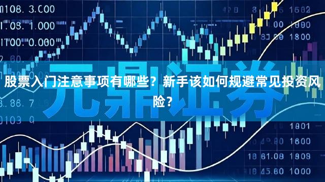 股票入门注意事项有哪些？新手该如何规避常见投资风险？