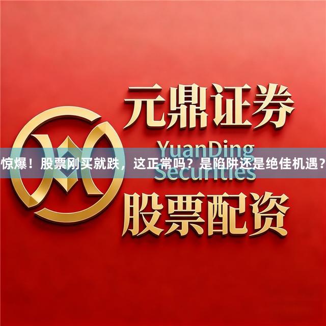 惊爆！股票刚买就跌，这正常吗？是陷阱还是绝佳机遇？