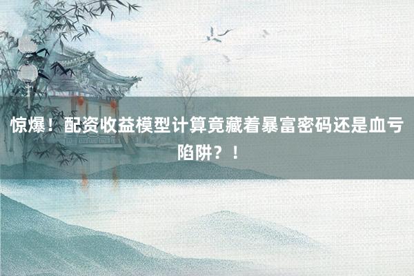 惊爆！配资收益模型计算竟藏着暴富密码还是血亏陷阱？！