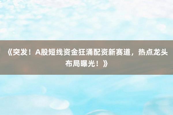 《突发！A股短线资金狂涌配资新赛道，热点龙头布局曝光！》