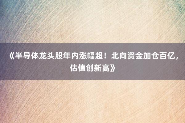 《半导体龙头股年内涨幅超！北向资金加仓百亿，估值创新高》