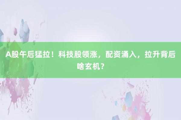A股午后猛拉！科技股领涨，配资涌入，拉升背后啥玄机？