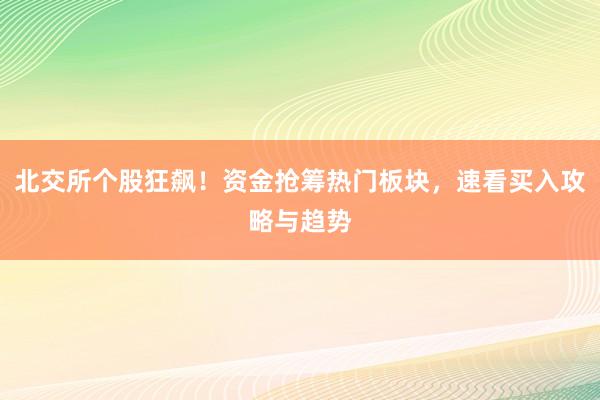 北交所个股狂飙！资金抢筹热门板块，速看买入攻略与趋势