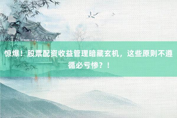 惊爆！股票配资收益管理暗藏玄机，这些原则不遵循必亏惨？！
