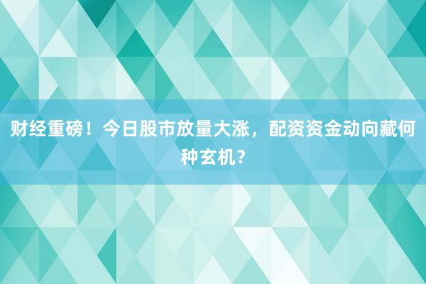 财经重磅！今日股市放量大涨，配资资金动向藏何种玄机？