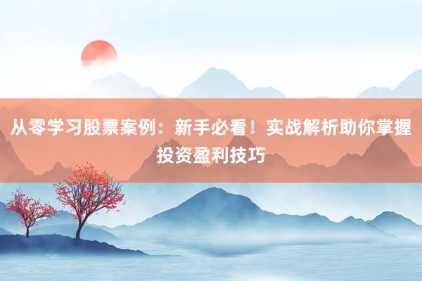 从零学习股票案例：新手必看！实战解析助你掌握投资盈利技巧