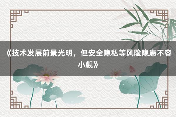 《技术发展前景光明，但安全隐私等风险隐患不容小觑》