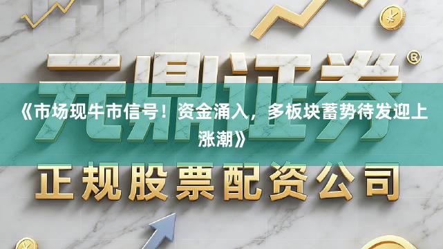 《市场现牛市信号！资金涌入，多板块蓄势待发迎上涨潮》